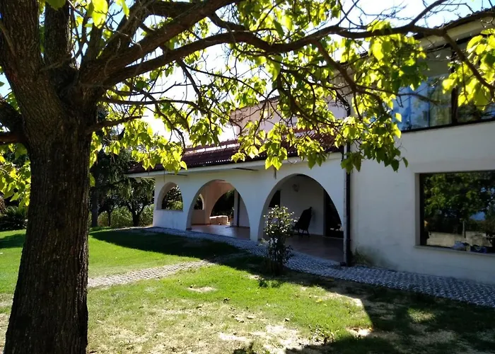 B&B 