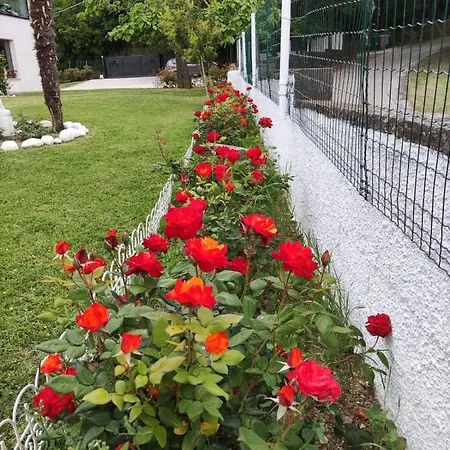 Alojamento de Acomodação e Pequeno-almoço 