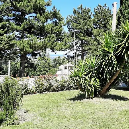 Cara Pace In Collina Per Famiglie Bed & Breakfast